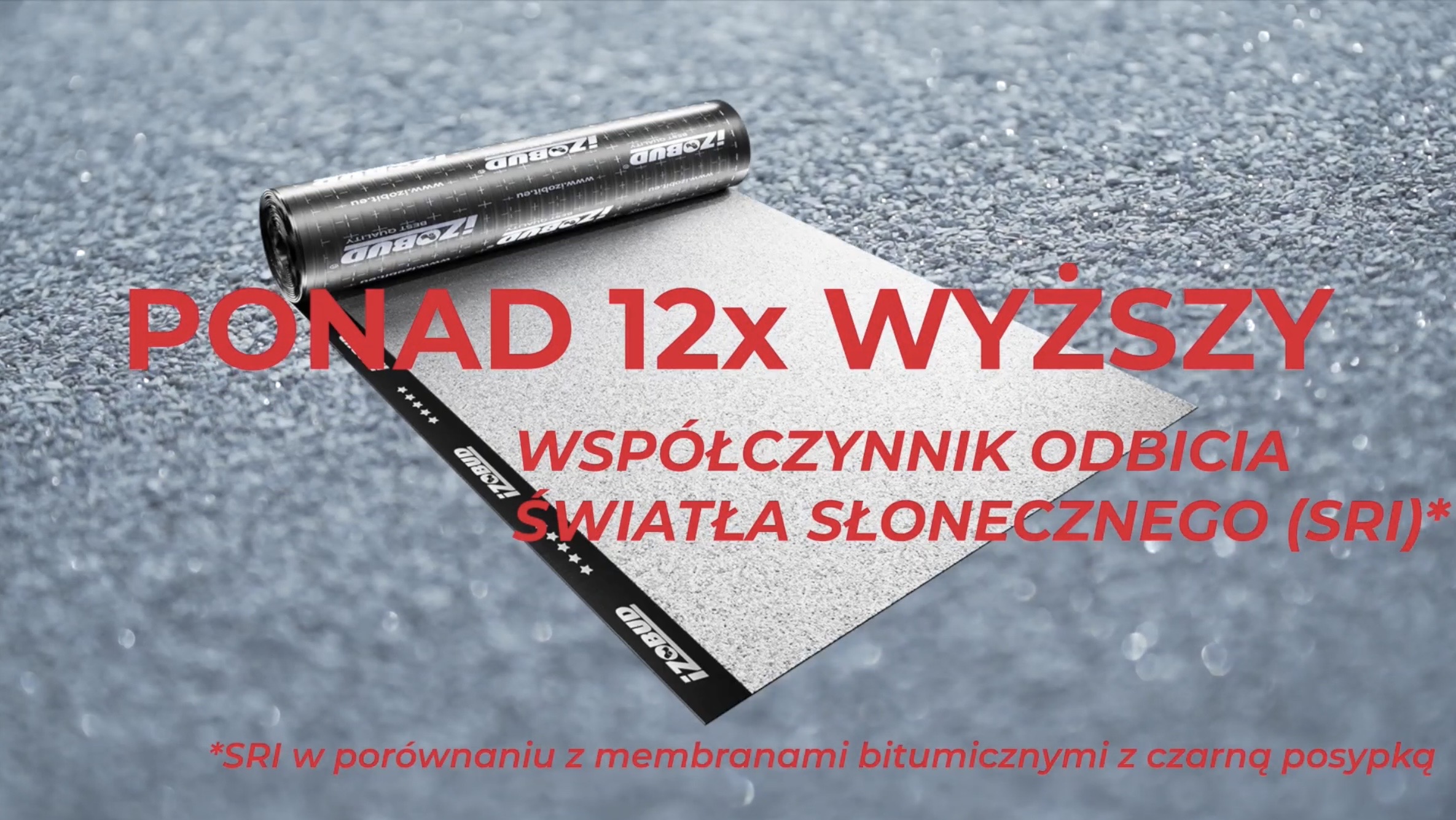 papa biała bydgoszcz